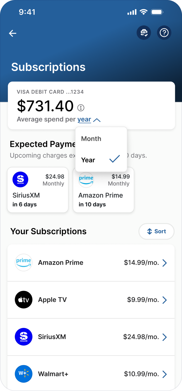 Year dropdown spending history view