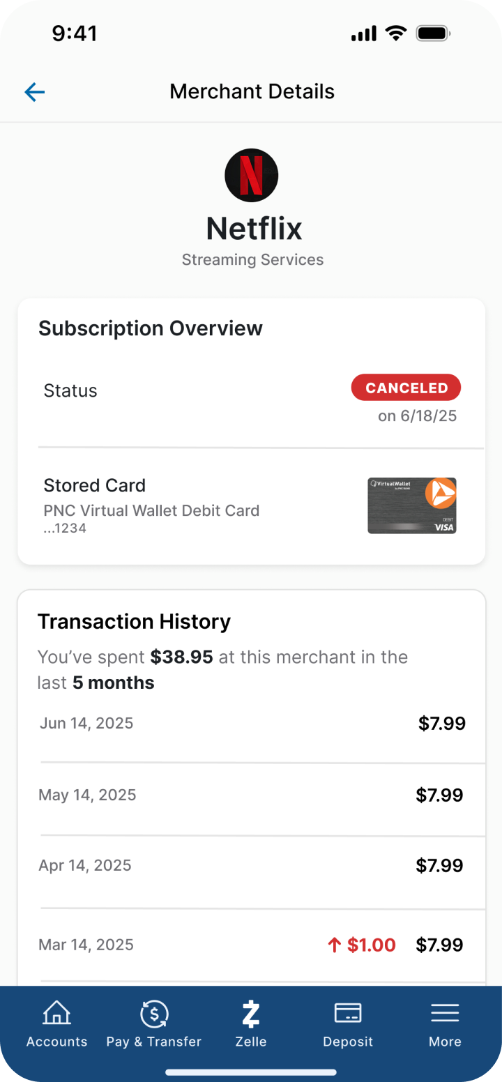 Netflix subscription detail with cancel subscription action